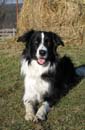 IMG_0204 kopie